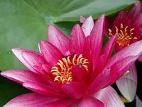 人生amp;旅的真天句子
