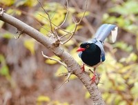 从坏事中看到希望