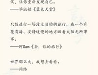 关于你的道没看用西，我来过！的句子