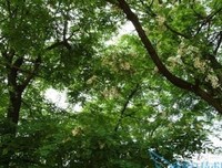 《醒来之爱的呼唤》影评摘抄