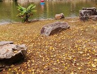 《晓说晓团圆》影评100字
