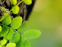 关于塔莎名言名句