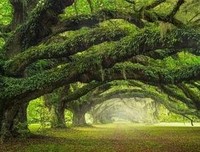 墨守成规的句子