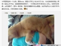 姑娘与狗太亲，上医院一查