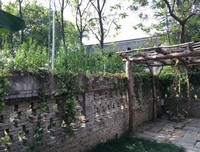 游乌镇时的千般思绪