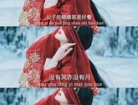 关于古风美句的优美句子