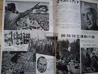 《近代朝鲜与日本》读后感100字