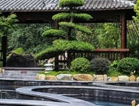 《小镇喧嚣》读后感100字