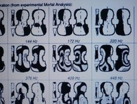 关于声学并子的名言