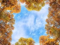 诸法无我，灵魂非真！