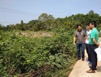 ▶一个月后，将有上千人返回农村，因为马上要…