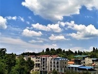 夏意的句子