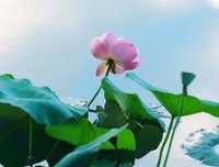 佳句的句子