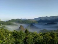 一家实出流景的优美句子