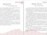 《下辈子更加决定：叶青诗集》读后感精选