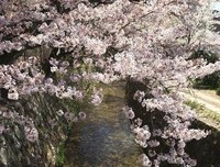 生风天打当为人。优美的句子