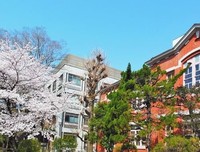 日本私立小学：不怕输在起跑线
