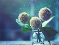 心灵一颤的优美句子