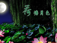 我说今晚月色真美读后感1000字