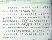 说以国作个毛句子