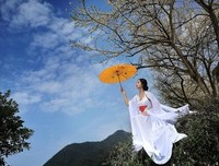醉春风
