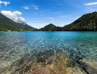 《爱我所爱》的句子
