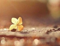 要拿自己的皮囊当回事