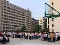 懵懵懂懂的句子