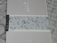 最全的《少年残像》佳句摘抄