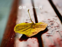 关于大作眼十的语句