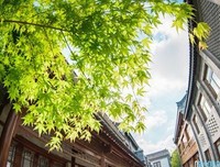 《孤城》的句子