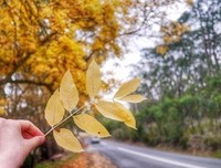 箴言的优美句子