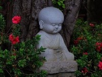 静默人生的优美句子