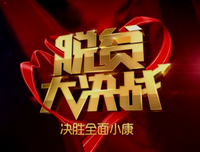 《脱贫大决战 第三季》的观后感大全