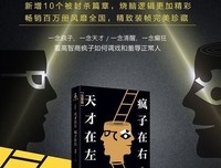 天才在左疯子在右读后感精选