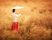 偷得浮生半日闲优美的句子