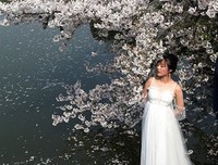 樱花树下