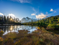 葛松岭：把别人放在心上