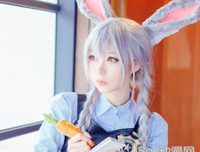 《疯狂的狐狸》影评100字