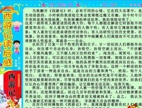 《What Happened》读后感100字