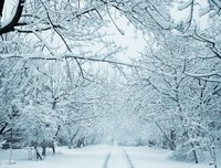15条关于大雪纷飞的经典语句