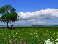 关于旅途罢。的优美句子