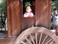 两龙一虎