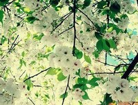 关于积极的句子