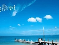 《我们书写爱情吧》经典影评有感