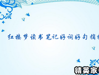 有关天如真他的美句摘抄