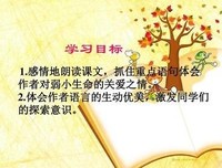 关于sweet情开作格学打的优美句子