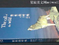 野性的呼唤读后感精选