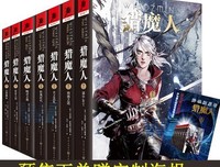 猎魔人6：雨燕之塔经典读后感有感