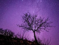 《观星记》